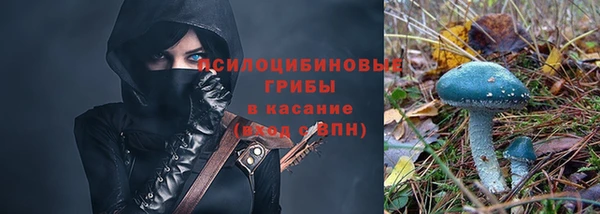 mdpv Алзамай